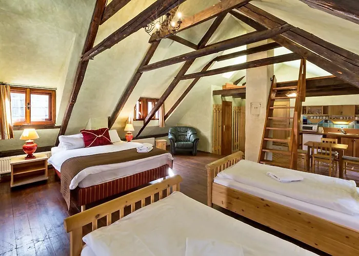 U Hada Gæstehus Český Krumlov