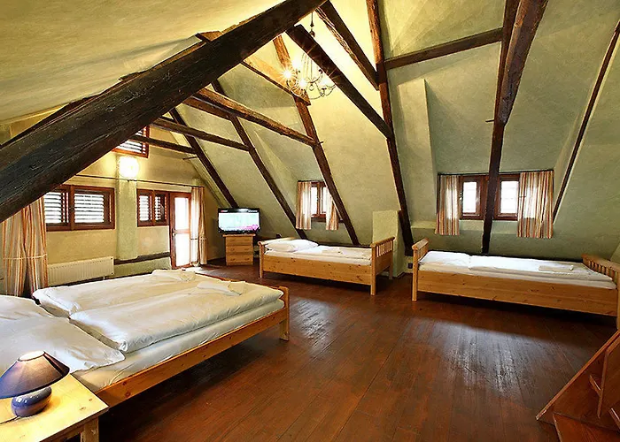 Guest house U Hada Cesky Krumlov